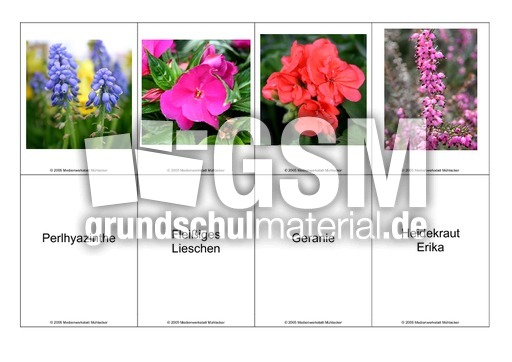 Blumen-Memo-Aufdeckspiel-5.pdf